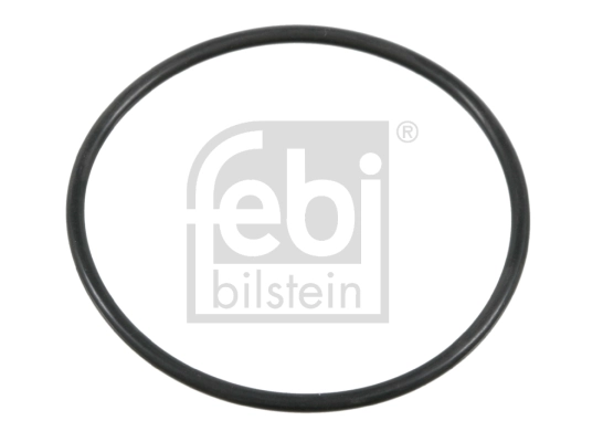 Seal Ring, steering knuckle